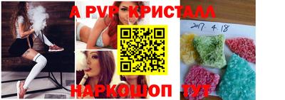 прущие крисы Гай