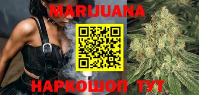 прущие крисы Гай