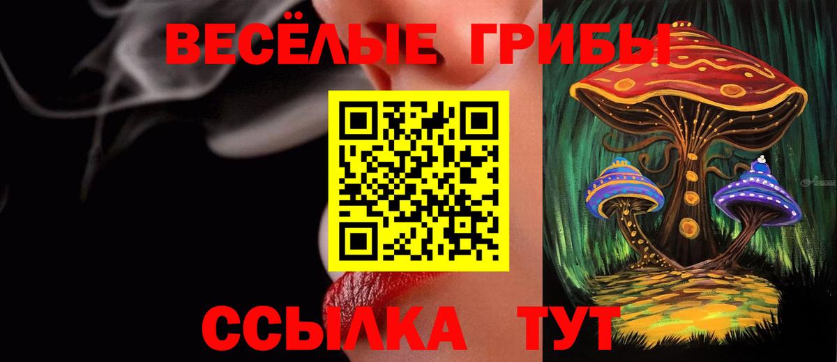 Галлюциногенные грибы ЛСД Звенигород