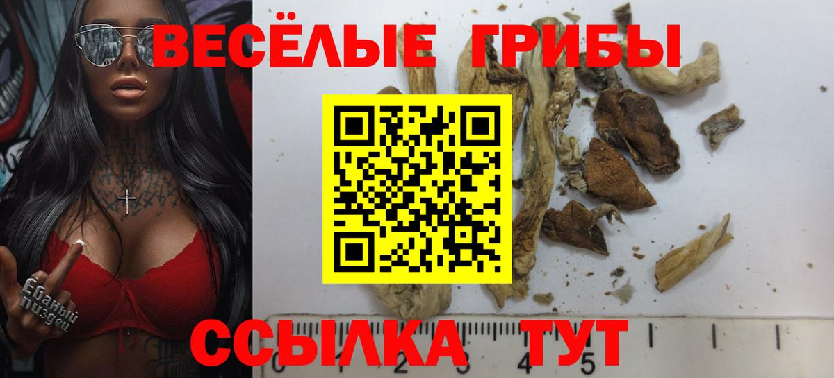 Псилоцибиновые грибы ЛСД  Вход с VPN  Псилоцибиновые грибы мухоморы  Звенигород 